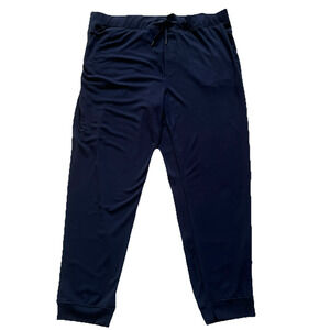 Cozy Earth Jogger Pants Womens 3XL Blue Bamboo Pull-On Pockets Soft Lounge Comfy